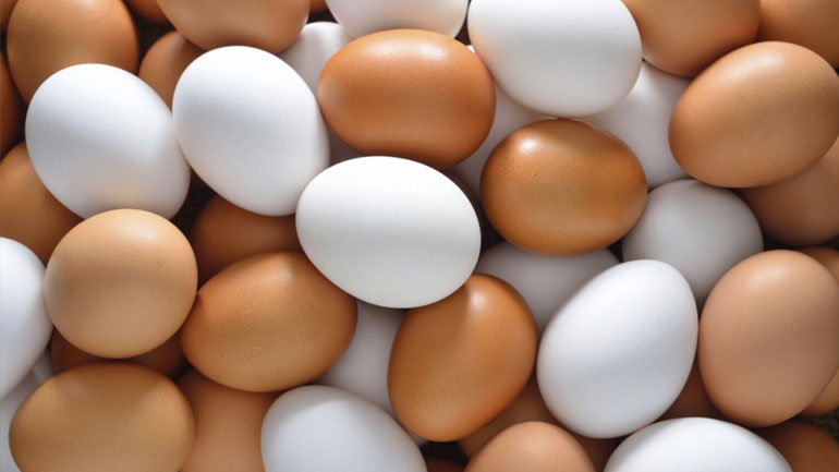 Αποσύρεται βιολογικό κοτόπουλο και χιλιάδες βιολογικά αυγά