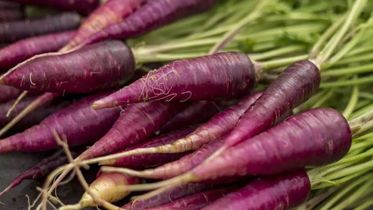 Tα μωβ καρότα είναι ο σύμμαχός μας στην απώλεια κιλών Tα μωβ καρότα είναι ο σύμμαχός μας στην απώλεια κιλών