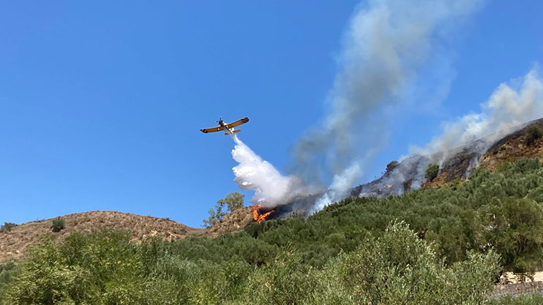 Ζάκυνθος: Φωτιά στην περιοχή Νερατζούλες