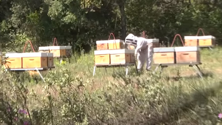 Ο Rémi Gaillard συμμετέχει με τον δικό του τρόπο στους Ολυμπιακούς Αγώνες