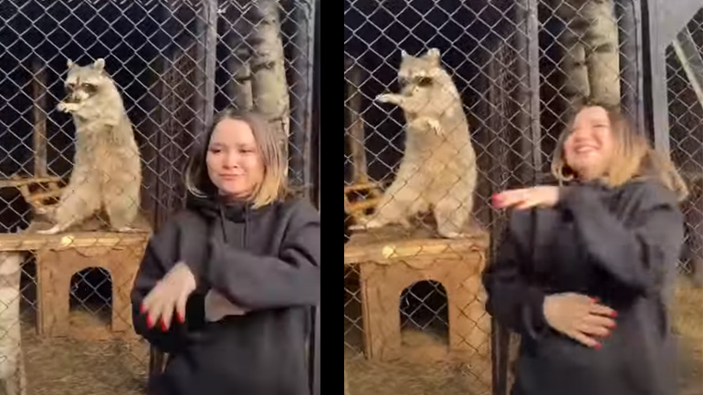 Γυναίκα χορεύει με ρακούν 