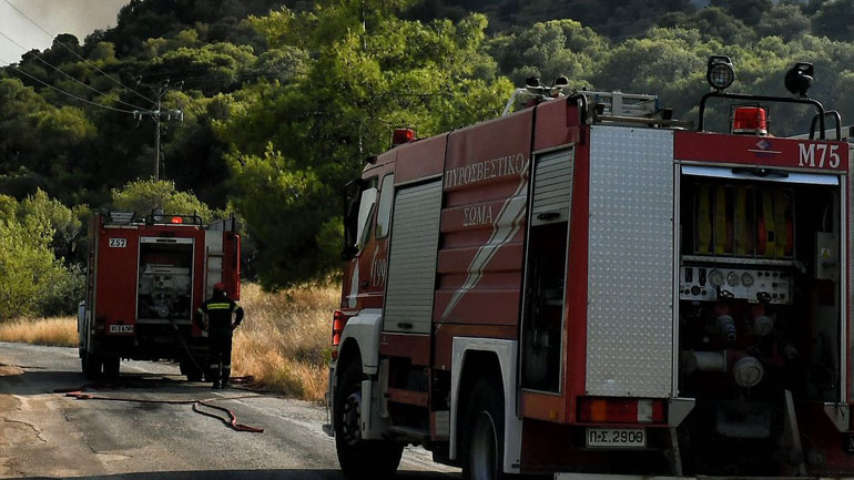 Ναύπλιο: Καλή η εικόνα της πυρκαγιάς στην τοπική κοινότητα Αραχναίου