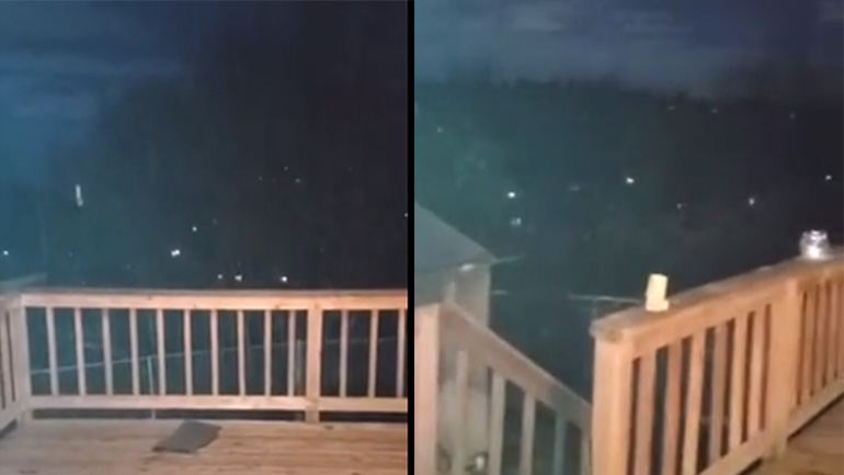 Άνδρας ηρεμεί τα κογιότ που φωνάζουν στο δάσος