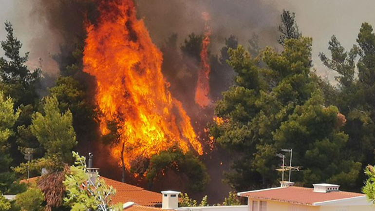 Φωτιά στη Σταμάτα: Προσήχθη ένας μελισσοκόμος στο πλαίσιο της έρευνας για εμπρησμό