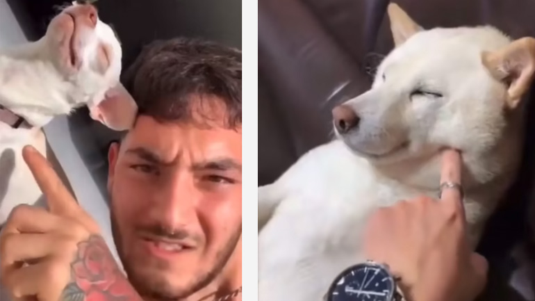 Η διαφορά των μικρών και των μεγάλων σκύλων