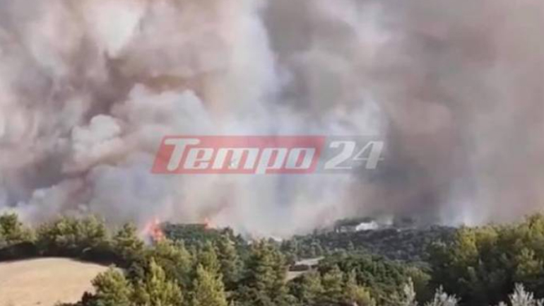 Αχαΐα: Καλύτερη εικόνα για τα πύρινα μέτωπα