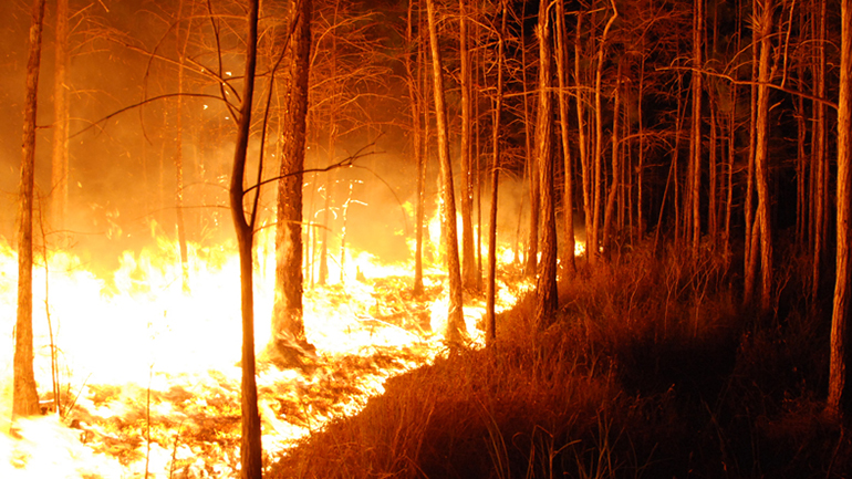 Λίβανος: Καταστροφικές πυρκαγιές στο βόρειο τμήμα της χώρας – Ένας πυροσβέστης νεκρός