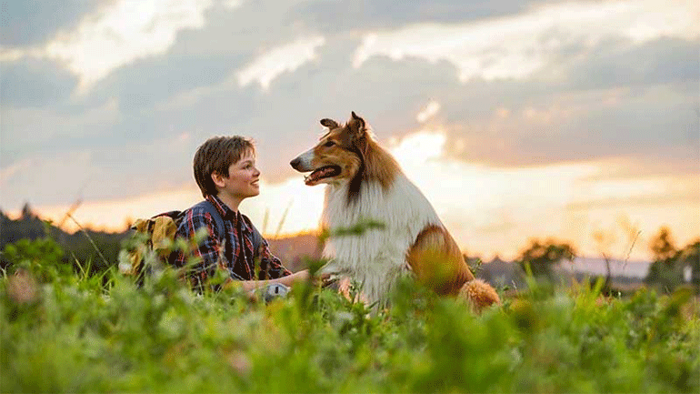 «Λάσι, γύρνα σπίτι»: Το πιο διάσημο κινηματογραφικό σκυλί επιστρέφει στη μεγάλη οθόνη
