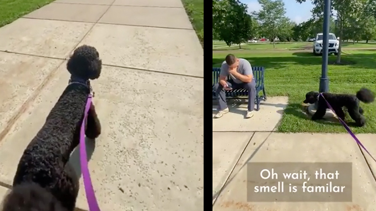 Σκύλος αναγνωρίζει τον κολλητό του μετά από 10 μήνες