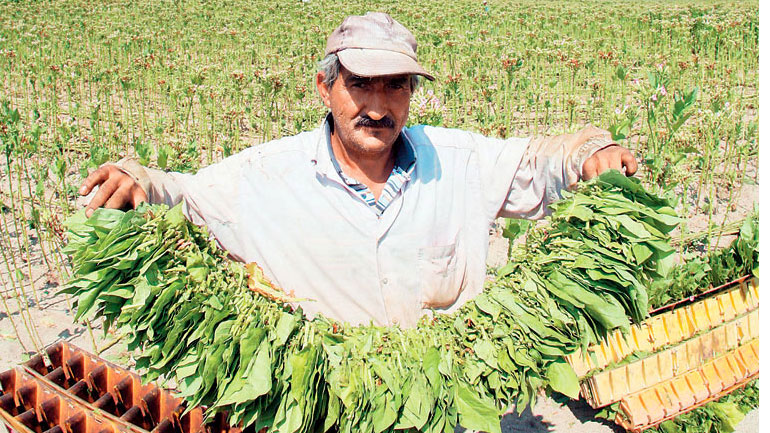 Διθύραμβοι Λιβανού για τη ΣΕΚΕ