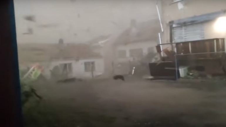 Σκύλος εναντίον ανεμοστρόβιλου