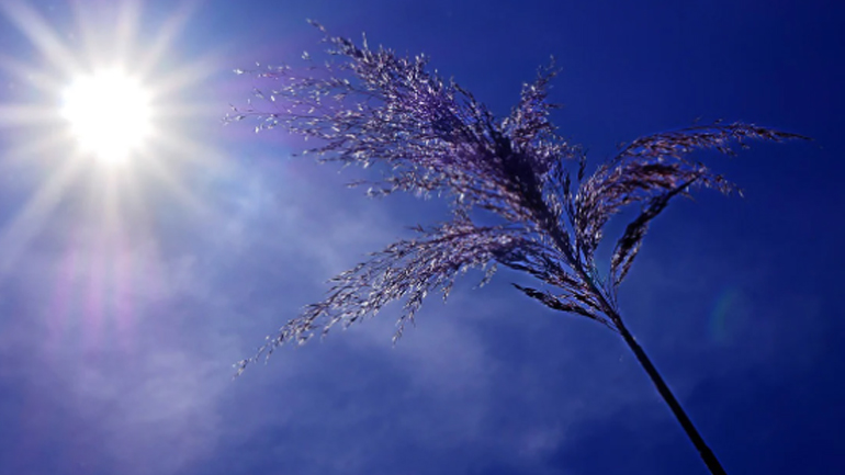 ΗΠΑ: Κύμα ζέστης σαρώνει το βορειοδυτικό και νοτιοανατολικό τμήμα