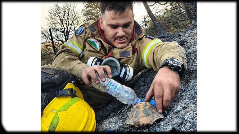 Viral η συγκινητική εικόνα με πυροσβέστη να δίνει νερό σε χελώνα μετά τη φωτιά