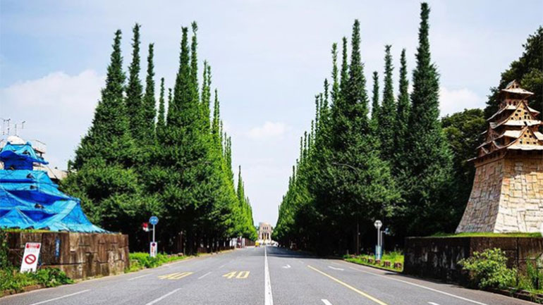 Κάστρα από χαρτόνι και μπλε μουσαμά στο Τόκιο