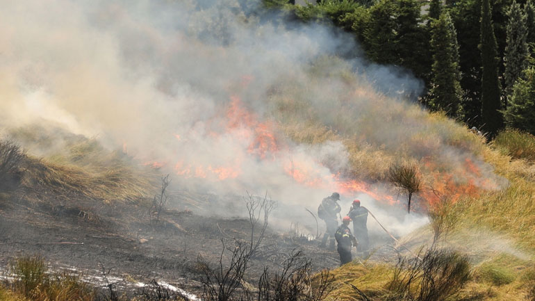 Δήμαρχος Αιγιαλείας: Η καταστροφή από τη φωτιά είναι πάρα πολύ μεγάλη