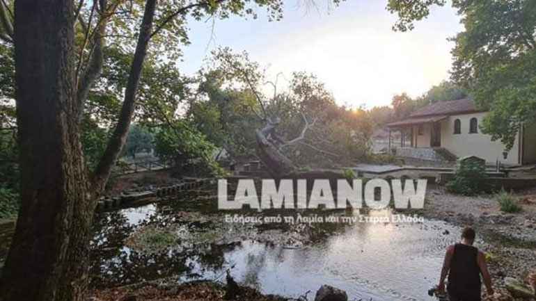 Φθιώτιδα: Τεράστιος πλάτανος κόπηκε στα δύο σε παρκάκι όπου καθόταν πολίτες Φθιώτιδα: Τεράστιος πλάτανος κόπηκε στα δύο σε παρκάκι όπου καθόταν πολίτες