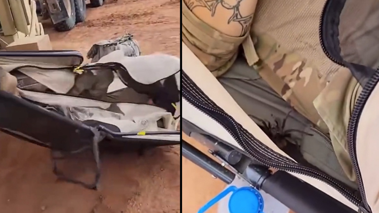 Στρατιώτης εναντίον ταραντούλας