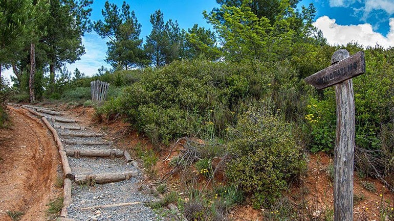 Θεσσαλονίκη: Σε ισχύ μέχρι την Τρίτη η απαγόρευση κυκλοφορίας στο Σέιχ Σου