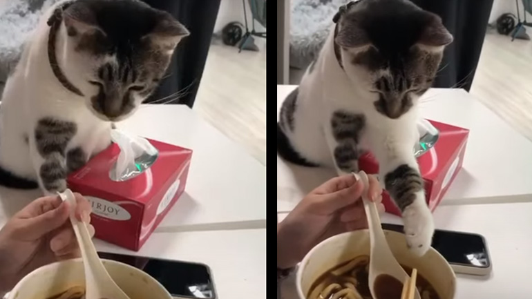 Δώσε μου λίγο!