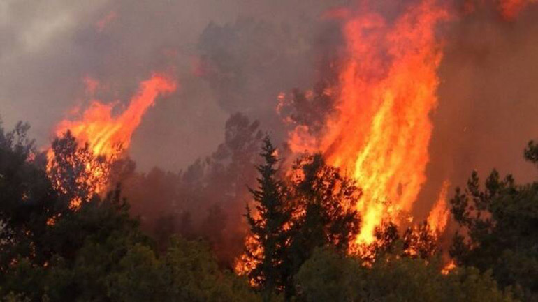 Σε επίπεδο «Κόκκινου Συναγερμού» η Κύπρος για τις δασικές πυρκαγιές