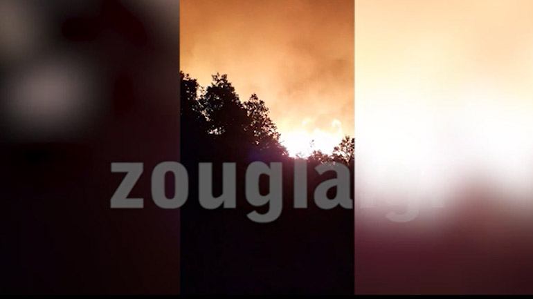 Βίντεο-ντοκουμέντο: Οι φλόγες κατακαίνε δασική έκταση στον Δομοκό