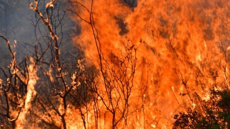 Αλβανία: Ένας νεκρός από τις δασικές πυρκαγιές στο Αργυρόκαστρο