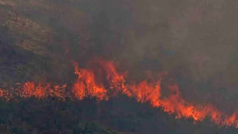 Λίμνη Ευβοίας: Η θάλασσα σταμάτησε τις φλόγες – Τρία τα μεγάλα μέτωπα