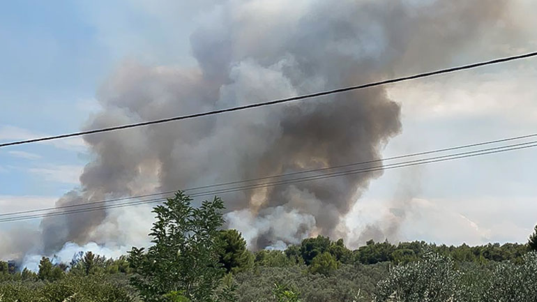 Φθιώτιδα: «Ανάσα» μετά τον νυχτερινό πύρινο εφιάλτη