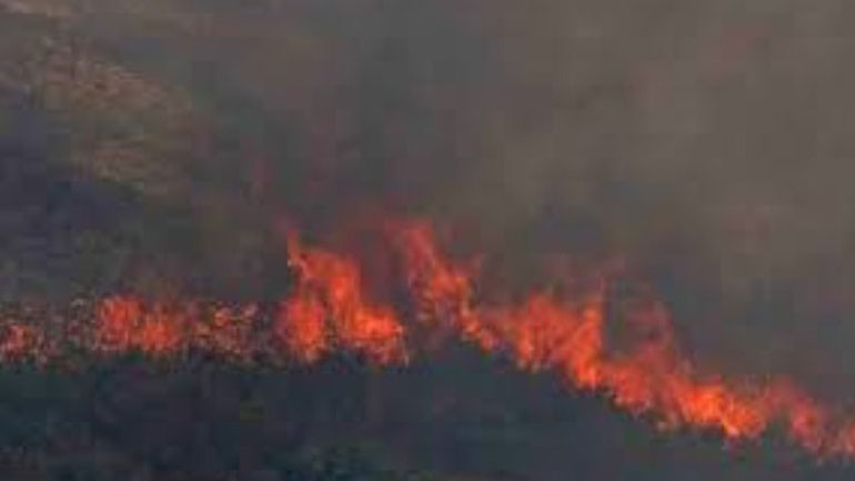 ΕΕ-Copernicus: Η Μεσόγειος έχει εξελιχθεί σε hotspot πυρκαγιών ΕΕ-Copernicus: Η Μεσόγειος έχει εξελιχθεί σε hotspot πυρκαγιών