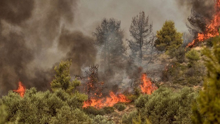 Πέντε πυρκαγιές σε εξέλιξη στη Μακεδονία Πέντε πυρκαγιές σε εξέλιξη στη Μακεδονία
