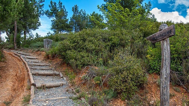 Νέα παράταση στην απαγόρευση κυκλοφορίας στο Σέιχ Σου