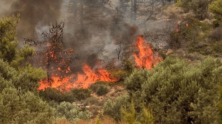 Τέσσερα μέτωπα φωτιάς στη Λίμνη Εύβοιας – Καθηλωμένα τα εναέρια μέσα
