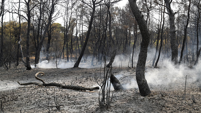 Προβληματίζουν οι αναζωπυρώσεις στη Βαρυμπόμπη