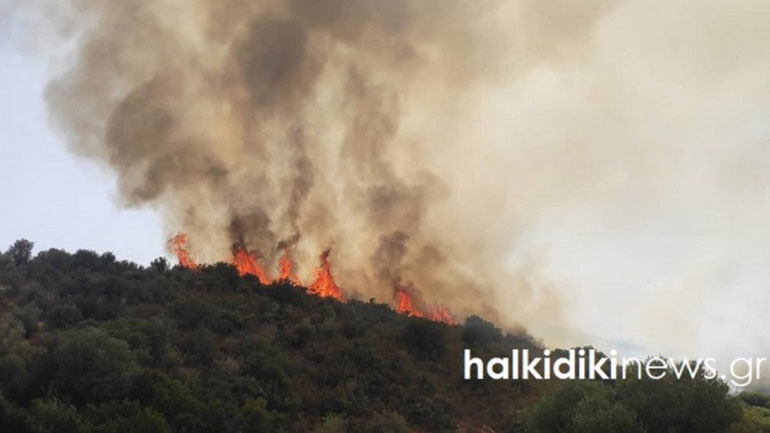 Φωτιά ξέσπασε στη Χαλκιδική