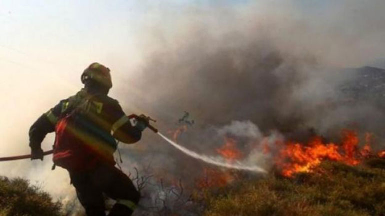 Φωτιά στο Μαρτίνο Φθιώτιδας