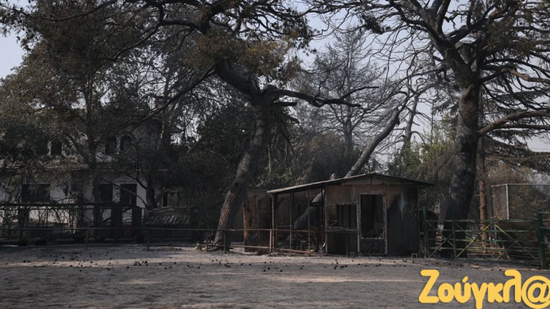 Στάχτη έγινε ο ιππικός όμιλος στη Βαρυμπόμπη