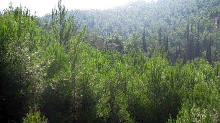 Απαγόρευση κυκλοφορίας σε δασικές περιοχές και περιαστικά άλση της Δυτικής Μακεδονίας