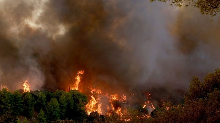 Εκκένωση της Ελαίας Φωκίδας λόγω δασικής πυρκαγιάς Εκκένωση της Ελαίας Φωκίδας λόγω δασικής πυρκαγιάς