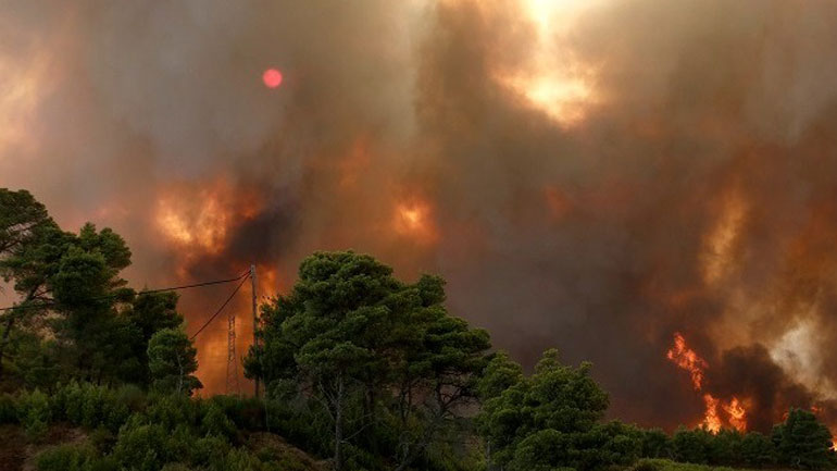 Στα 6 χιλιόμετρα το μέτωπο στα χωριά Ελαία και Καλλιθέα Φωκίδας που εκκενώθηκαν Στα 6 χιλιόμετρα το μέτωπο στα χωριά Ελαία και Καλλιθέα Φωκίδας που εκκενώθηκαν