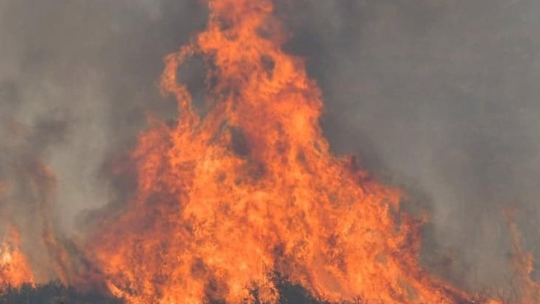 Πάνω από 8 χιλιόμετρα το μέτωπο στη Φωκίδα – Εκκένωση και στον Τολοφώνα