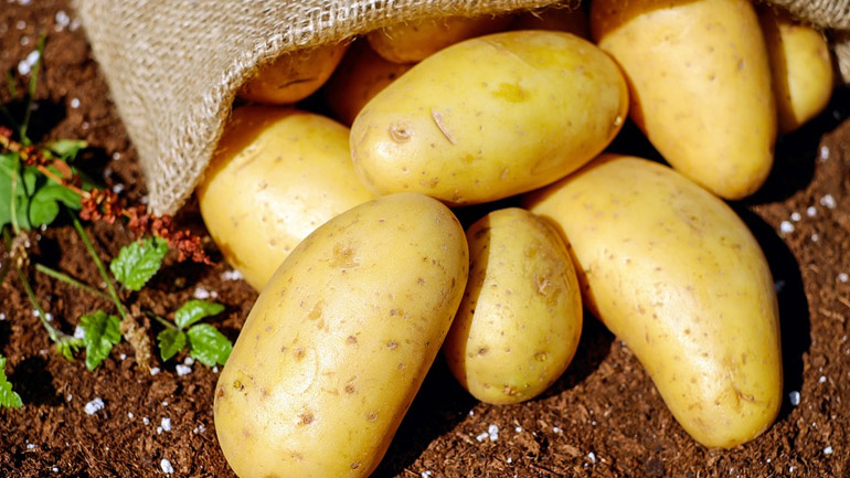 Παραπέμπεται εταιρεία που διακινούσε ποσότητες πατάτας με ψεύτικη ένδειξη