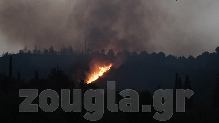 Η Ζούγκλα στη φωτιά που μαίνεται στην Αρχαία Ολυμπία
