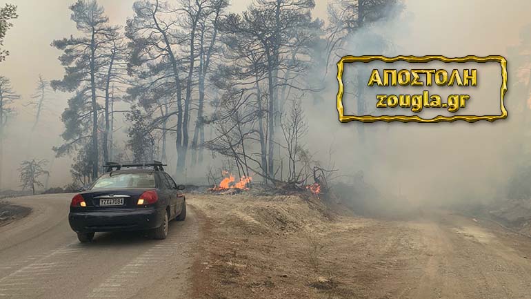 Συνεχείς αναζωπυρώσεις στην Εύβοια ακόμα και στις καμένες εκτάσεις