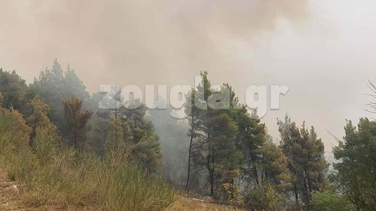 Φωτιά στην Εύβοια: Δραματική η κατάσταση – Εκκενώνεται η Αγία Άννα και άλλοι δύο οικισμοί Φωτιά στην Εύβοια: Δραματική η κατάσταση – Εκκενώνεται η Αγία Άννα και άλλοι δύο οικισμοί