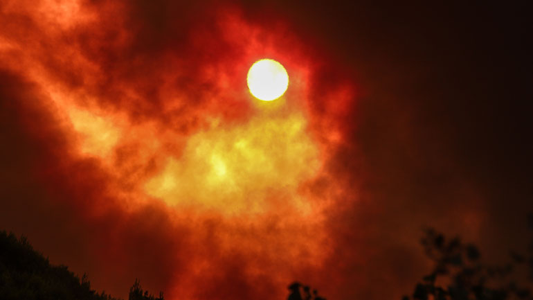 Μήνυμα 112 στους πολίτες για τις πυρκαγιές: Απαγορεύεται η πρόσβαση σε δάση – Αποφεύγουμε άσκοπες μετακινήσεις