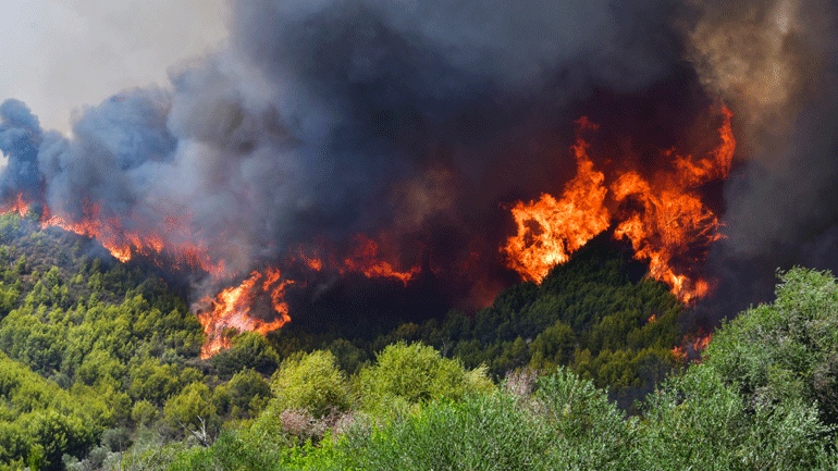 Συνεχίζεται η μάχη των πυροσβεστικών δυνάμεων στην Αρχαία Ολυμπία