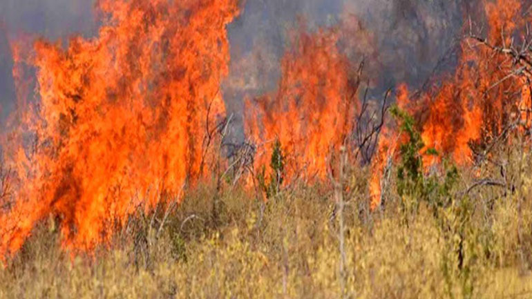 Κέρκυρα: Υπό μερικό έλεγχο η φωτιά στο Χαλικούνα
