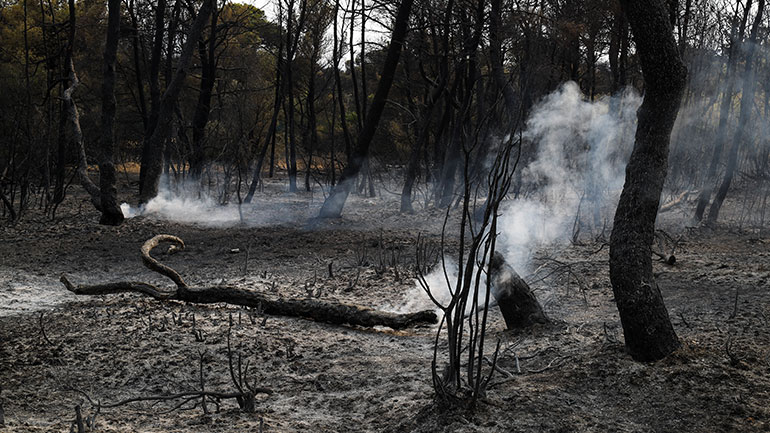 Μήνυμα από το 112 για εκκένωση της Βαρυμπόμπης