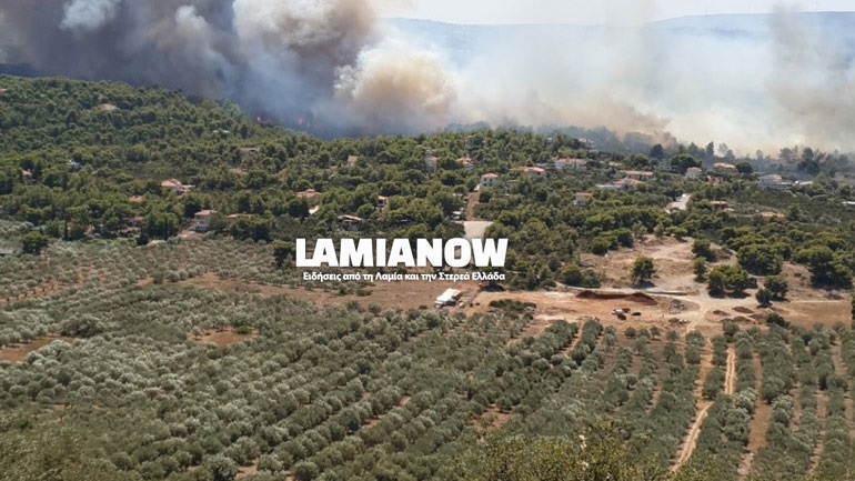 Εκκενώνεται ο Θεολόγος Μαλεσίνας στον νομό Φθιώτιδας λόγω της φωτιάς