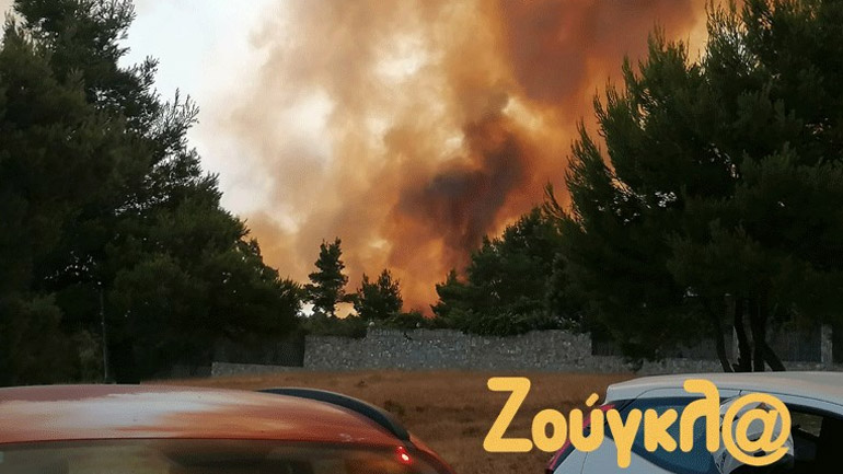 Συνελήφθη 43χρονος για εμπρησμό στο Καπανδρίτι Συνελήφθη 43χρονος για εμπρησμό στο Καπανδρίτι
